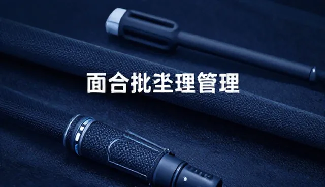 ai提示词宝贝：如何高效管理多角色批量生成